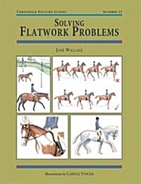 Solving Flatwork Problems (Paperback)