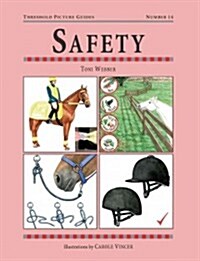 Safety (Paperback, 2 Revised edition)
