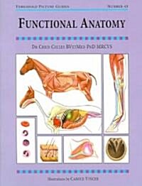 Functional Anatomy (Paperback)