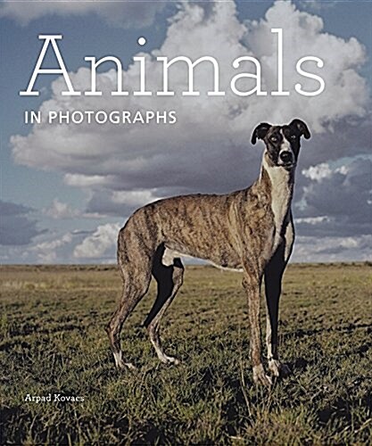 Animals in Photographs (Hardcover)