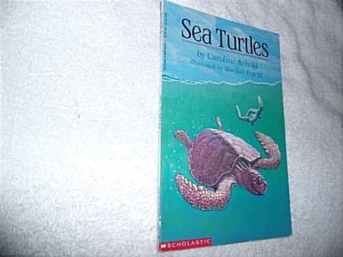 Sea Turtles (Paperback)