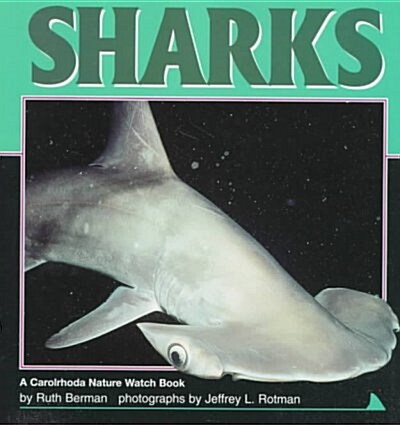 Sharks (Paperback)