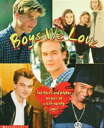 Boys We Love (Paperback)