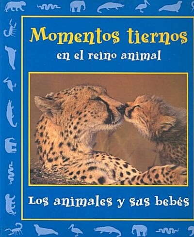 Momentos tiernos en el reino animal/ Tender Moments in the Animal Kingdom (Hardcover)