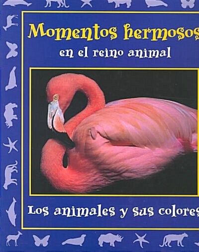 Momentos hermosos en el reino animal/ Beautiful Moments in the Animal Kingdom (Hardcover, 1st)
