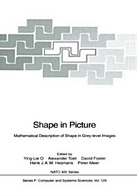 Shape in Picture: Mathematical Description of Shape in Grey-Level Images (Paperback, Softcover Repri)