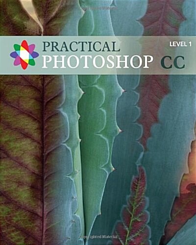 Practical Photoshop CC Level 1: Practical Photoshop CC Level 1 (Paperback)