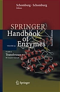 Springer Handbook of Enzymes, Volume 33: Class 2 Transferases VI: EC 2.4.2.1 - 2.5.1.30 (Paperback, 2, 2007)