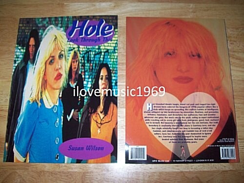 Hole (Paperback)