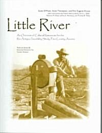 Little River: An Overview of Cultural Resources for the R? Antiguo Feasibility Study, Pima County, Arizona (Paperback, 2)