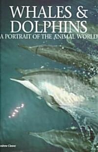Whales & Dolphins (Hardcover)