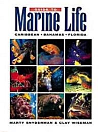 Guide to Marine Life: Caribbean-Bahamas-Florida (Paperback)