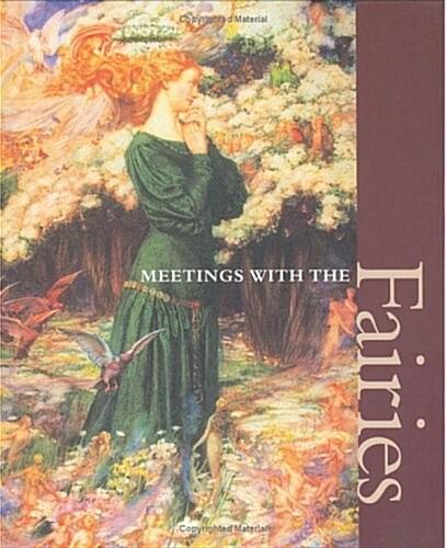 Meetings W/The Fairies (Hardcover)
