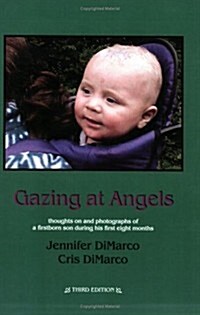 Gazing at Angels (Paperback)
