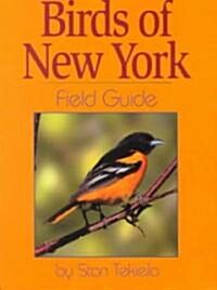 Birds of New York (Paperback)