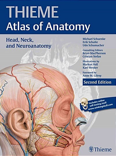 Head, Neck, and Neuroanatomy (Thieme Atlas of Anatomy) (Paperback)