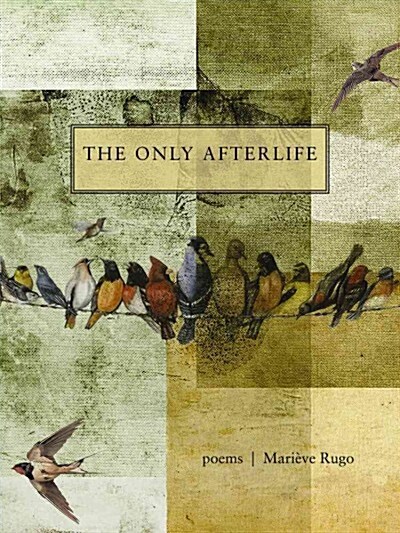 The Only Afterlife: Poems (Paperback)
