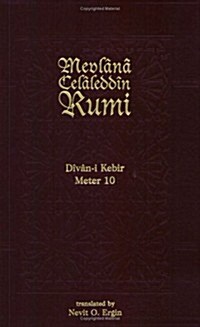 Divan-I Kebir Meters (Paperback)