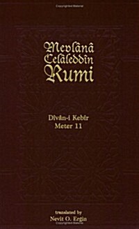Divan-I Kebir Meters (Paperback)