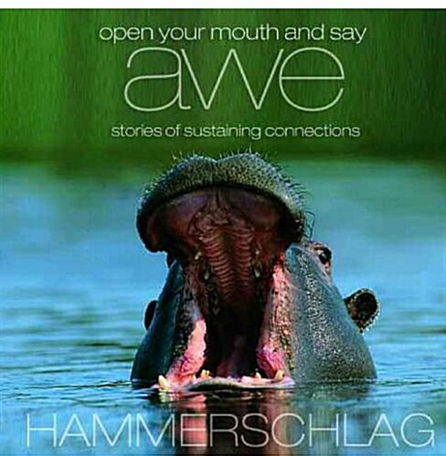 Open Your Mouth and Say Awe: Stories of Sustaining Connections (Audio CD)