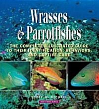 Wrasses & Parrotfishes (Hardcover)