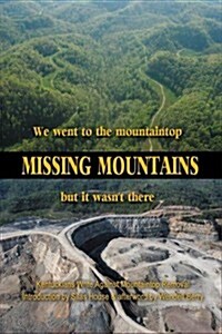 Missing Mountains: We Went to the Mountaintop But It Wasnt There (Paperback)