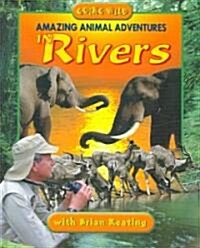Amazing Animal Adventures in Rivers (Hardcover)