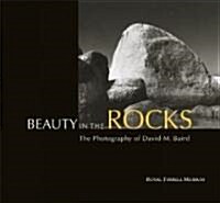 Beauty in the Rocks: The Photography of David M. Baird (Hardcover)