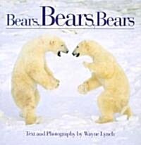 Bears, Bears, Bears (Paperback)