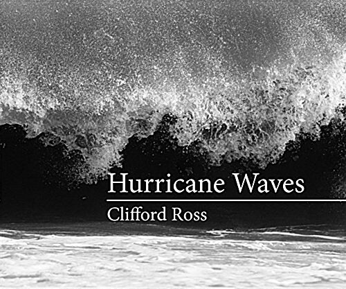 Hurricane Waves (Hardcover)