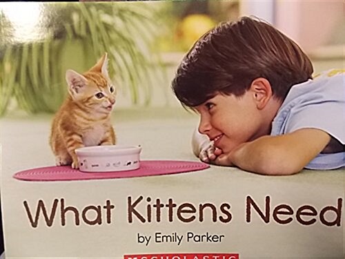 What Kittens Need (Paperback)