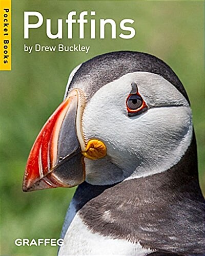 Puffins (Pocket Books) (Paperback)