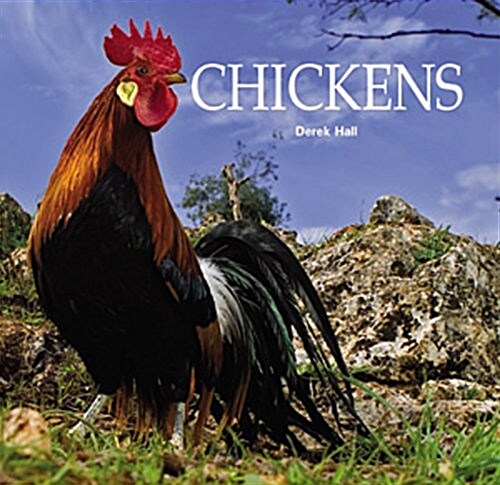 Chickens (Paperback)