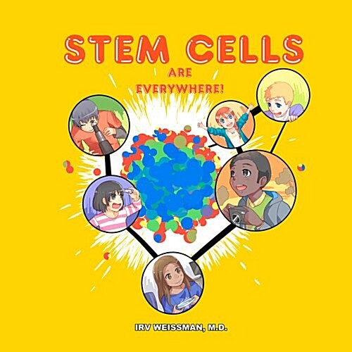 Stem Cells Are Everywhere (Paperback)