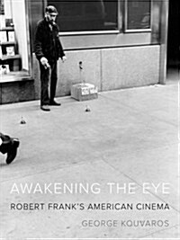Awakening the Eye: Robert Franks American Cinema (Paperback)