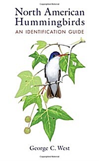 North American Hummingbirds: An Identification Guide (Paperback)