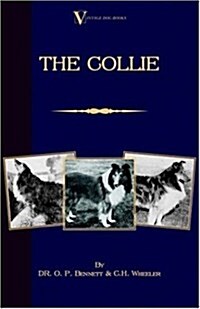 The Collie (A Vintage Dog Books Breed Classic) (Hardcover)