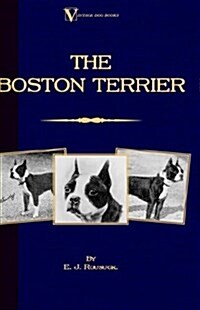 The Boston Terrier (Hardcover)