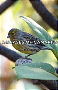 Diseases of Canaries (Paperback)