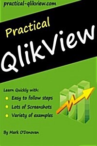 Practical Qlikview (Paperback)