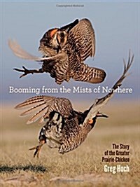 Booming from the Mists of Nowhere: The Story of the Greater Prairie-Chicken (Paperback)