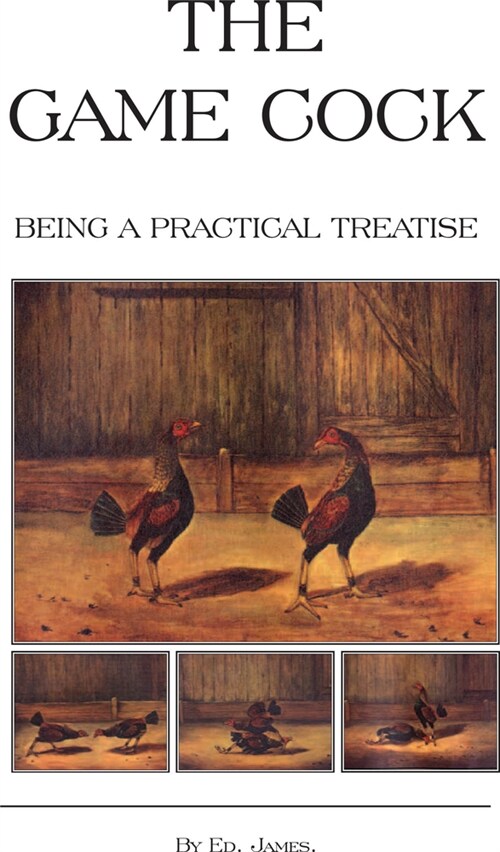 The Game Cock - Being a Practical Treatise on Breeding, Rearing, Training, Feeding, Trimming, Mains, Heeling, Spurs, Etc. (History of Cockfighting Ser (Paperback)