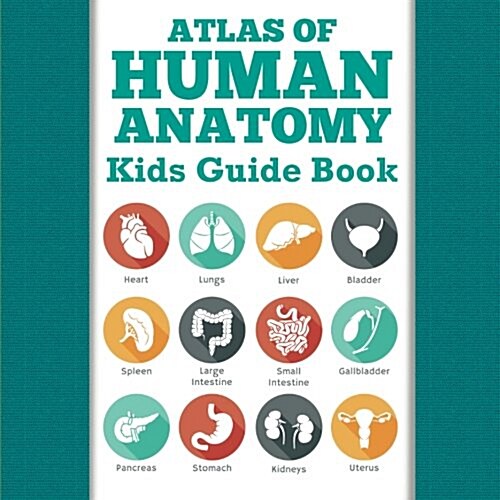 Atlas of Human Anatomy: Kids Guide Book (Paperback)