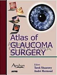 Atlas of Glaucoma Surgery (Hardcover)