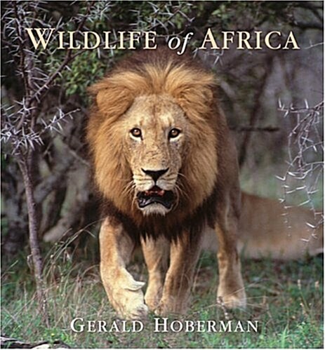 Wildlife of Africa: Booklet (Paperback)