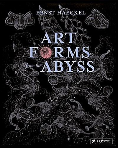 Art Forms from the Abyss: Ernst Haeckels Images from the HMS Challenger Expedition (Paperback)