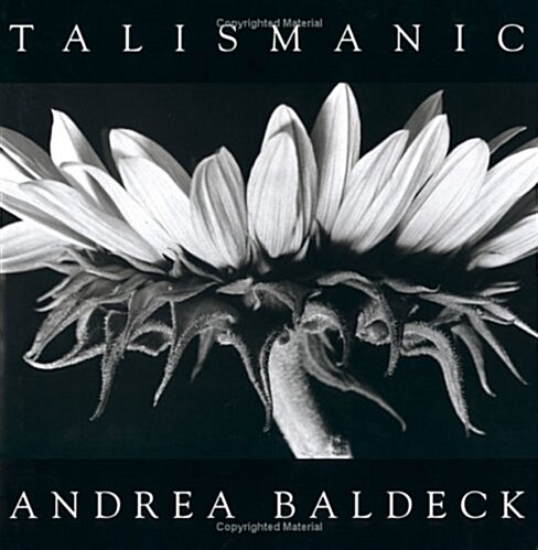 Talismanic (Hardcover)