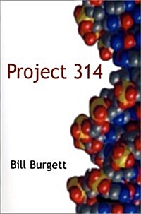 Project 314 (Paperback)