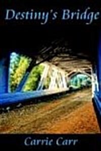 Destinys Bridge (Paperback)