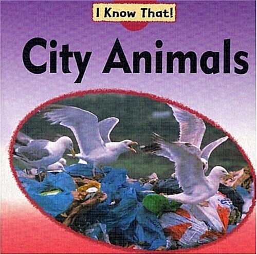 City Animals (Library Binding)